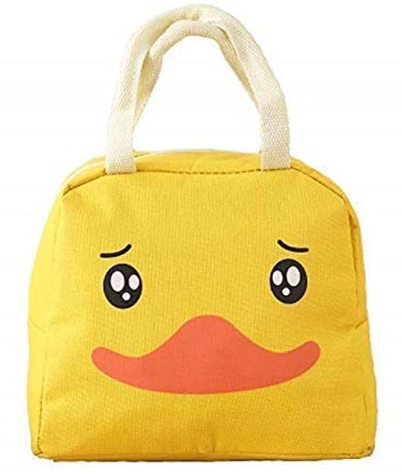 FlywindFlywind Lunch Bag || Waterproof Fashional College||Insulated Travel Lunch/Tiffin/Storage Bag || for Office, College & School || Men Cooler Lunch (Multicolour)