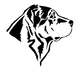 通用 QANAN Autosticker voor achterruit, reclame, aangepaste autosticker, design, persoonlijkheid, tekstpatroon…