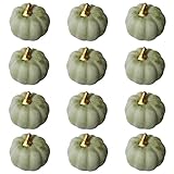 set di zucche artificiali verdi autunnali, 12 pezzi, decorazione sfusa, zucche finte, mini zucche in schiuma, decorazione per halloween, halloween, matrimoni, feste, decorazioni per la casa