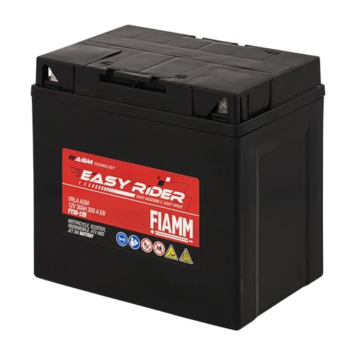 Fiamm Batteria per Moto e Scooter FT30-12B 30AH 300A, Batteria Easy Rider AGM Technology, Massima Potenza di Avvio, Senza Manutenzione, Già Carica, Pronta all'Uso, Adatta a Scooter, Moto, Moto d'acqua
