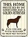 SMART BLONDE Golden Retriever Protected Novelty Mini Metal Parking Sign PM-1572