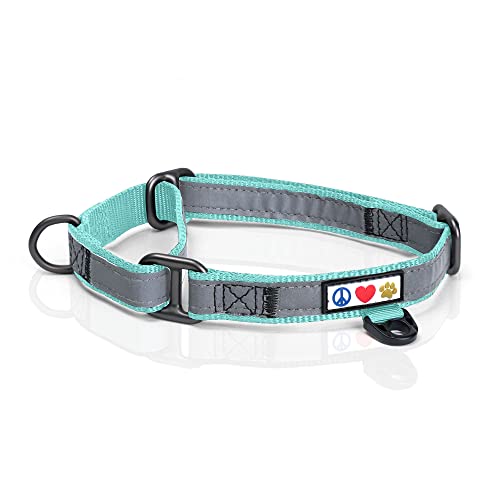 Pawtitas Martingale Dog Collar Puppy Collar Reflective Dog Collar Training Dog Collar Behavioral Dog Collar Small Dog Collar Teal Dog Collar