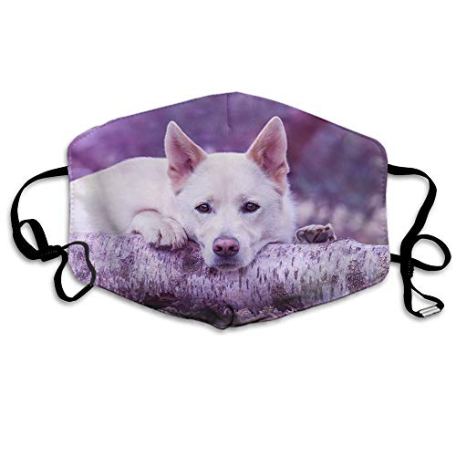 Makala Mask Dog,White Dog Squats In The Trunk Eyes Staring Forward On Purple Background Polyester Anti Dust Mask-Washable And Reusable Mask For Cycling Camping Outdoor