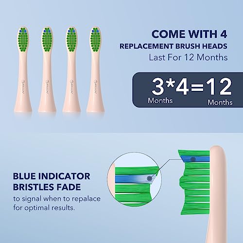 Image of ARISSON Sonic Electric Toothbrush for Adults and Kids, 40,000 VPM Power Toothbrush, 1.5H Fast Charge Ultrasonic Electric Toothbrushes with 2 Minutes Smart Timer, 1.6 Oz Travel Toothbrush, Desert Sand