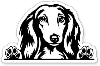 Long Haired Dachshund Dog Peeking Sticker - for Water Bottle Phone Car Tumbler Laptop - Puppy Pet Decal - Waterproof Vinyl - 3"