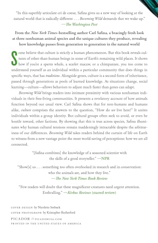 Becoming Wild: How Animal Cultures Raise Families, Create Beauty, and Achieve Peace