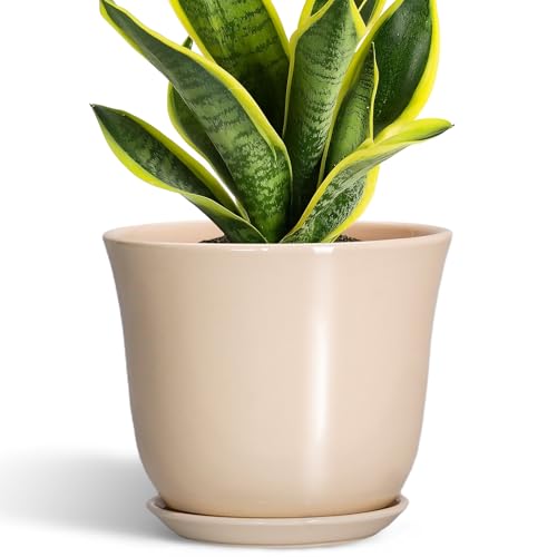 5.6 Inch Plant Pot - Ceramic Pots for Plants with Drainage Hole and Saucer, Round Succulent Flower Orchid Pot for Indoor Outdoor, Modern Planter, Home Room Decor, Gift for Plant Lover, Blue