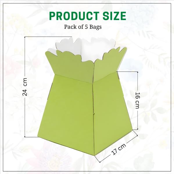 Image of Oasis Paper Gift Box Foldable Empty, Decorative, Reusable, Multipurpose Birthday, Anniversary, Wedding, Return Gifts Hamper Packaging (Porto Green Vase)