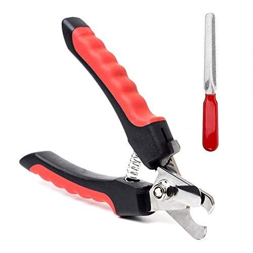 RvPaws Dog Nail Cutter Pet ClipperClaw Nails Clippers Grinder Trimmer for Small Medium Large Dogs Medium | Toys| Puppies| Pet | Dogs | Toys dog products | Puppy Toys | Soft Toy Dog | Toy |Pet Supplies (B085GJK21K) Amazon Price History, Amazon Price Tracker