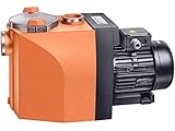  Speck Poolpumpe Badu 40/13 Wechselstrom 230 V