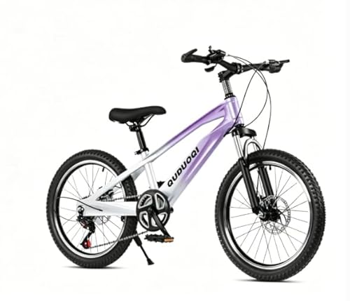 自転車 ジュニア マウンテンバイク」の人気商品一覧 | 安い商品を通販