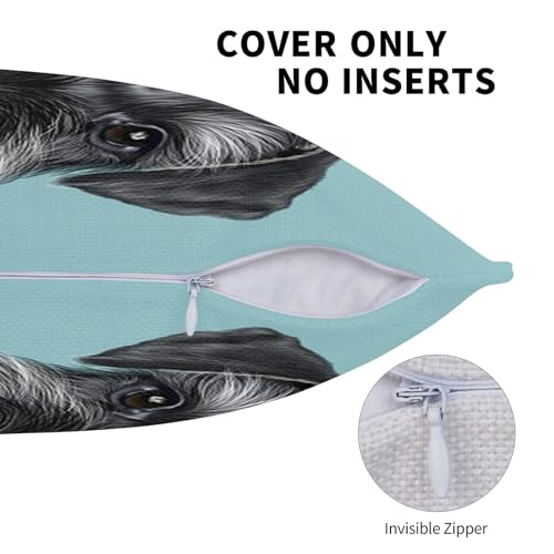 Housses de coussin Schnauzer bleu : protégez et décorez