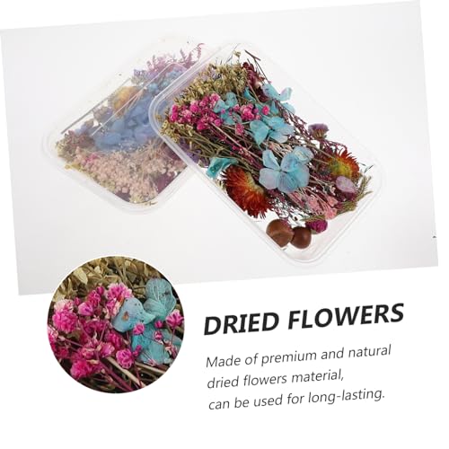 Flores secas mini para manualidades en caja miniatura 3