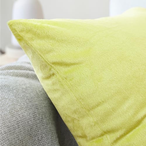 Image of Encasa XO Velvet Throw Pillow Covers 12x20 in (30x50 cm) - Pale Lime - No Inserts, Pack of 2 Cases | Solid Plain Dyed Soft & Smooth, Square Decorative Cushion Covers for Living & Bedroom