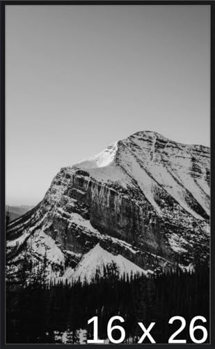 Frame It Easy 16 1/2 x 26 1/8 Satin Black Metal Frame (Ashford) 16.5x26.1 inches