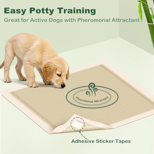 Image of MIZOK Puppy Pads Small 22x22 Pee Pads for Dogs Bamboo Odor Eliminating & 6-Layer Absorbent Leak-Proof Dog Pee Pads Potty Training with Adhesive Tabs, Disposable (50 Counts)
