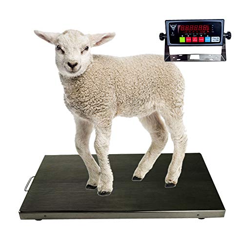 PEC 700lb Livestock Scale
