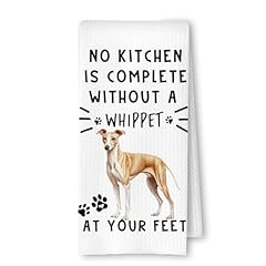 Whippet at Your Feet