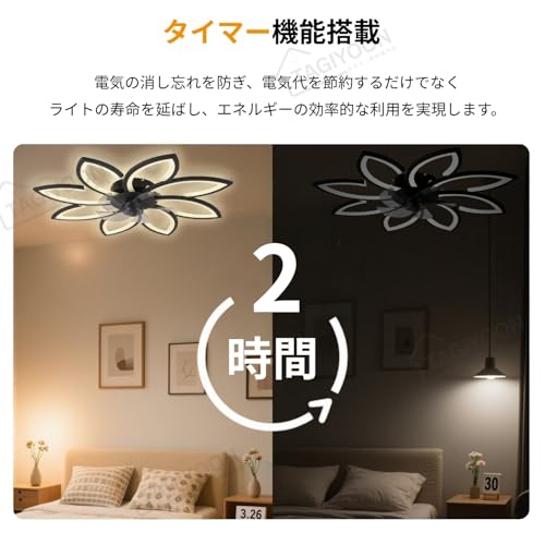 TAGIYOON シーリングファンライト YT06 の商品画像 3