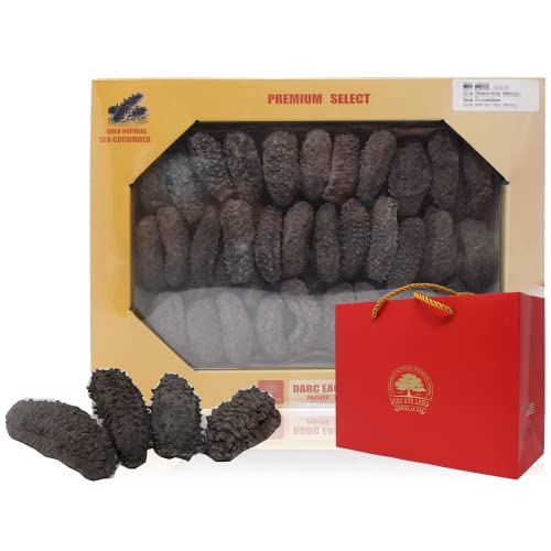 Dabc Oak Land 大包装 16Oz=453G Sun Dried Wild Caught 5~6 Years Mexico Sea Cucumber, Aaa Grade All Natural Nutritious 5~6年参龄特级墨西哥野生鲍鱼参/梅花刺参 50~60Pcs/Lb S# Box #TOP24