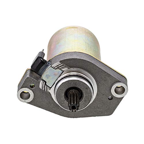 NICHE Starter Motor Assembly for Yamaha Zuma 50 YW50 4WX-H1800-01-00