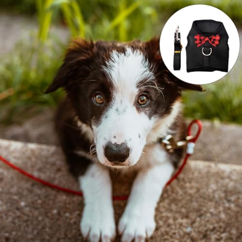 GANAZONO Atmungsaktives Hundegeschirr Satz aus Nylon für Kleine Haustiere mit Bequemem Brustgurt und Verstellbarem Modischem Design für Outdoor Ausflüge – Bild 6