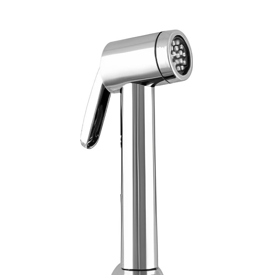 PARRYWARE OVALO Series Health Faucet/Toilet Gun (Stainless Steel) | Stainless Steel Pipe, Wall Hook Included, ABS Body | Toilet Spray Gun/Health Faucet Set with Pipe/Hose & Wall Hook | E8371A1 (B0CN91HKR7) Amazon Price History, Amazon Price Tracker