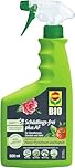 COMPO Schädlings-frei plus AF - Spray gegen Blattläuse, Schildläuse, Wollläuse, Buchsbaumzünsler & Co. - für Zierpflanzen und Kernobst - 500 ml - anwendungsfertiges Insektizid