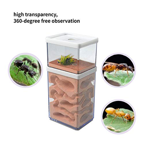 awagas Ecological Ant Nest Farm, Ant Castle Ant Formicarium, Transparent Ant House Plaster Ant Nest, Ant Workshop Insect Villa Ant Feeding Box for Ants Study Science Experiment Gift - Image 4