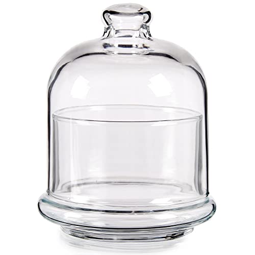 Arte Regal 20300 Mini Bonbonnière en verre avec base 16 x 9 Cover