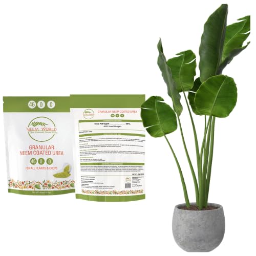 Fertilizante Urea Recubierta Neem 46-0-0 Alta Nitrogenación miniatura 2