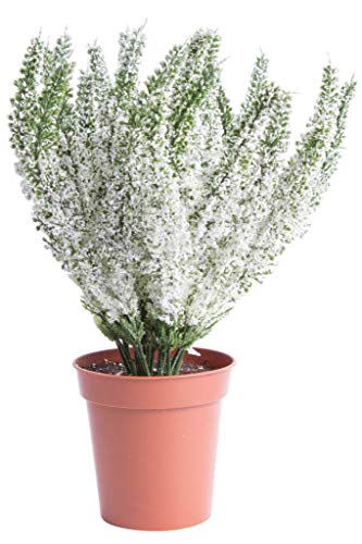 Botanic-Haus künstliche Erika (Heidekraut) in braunem Kunstofftopf (Creme-weiß)