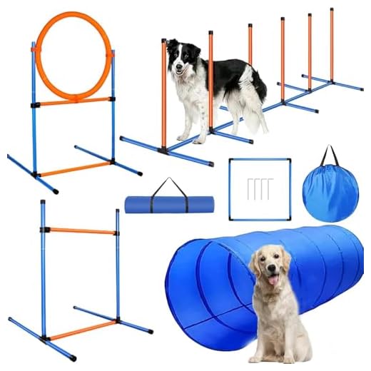 Agility Set für Hunde - Vielseitiges Training