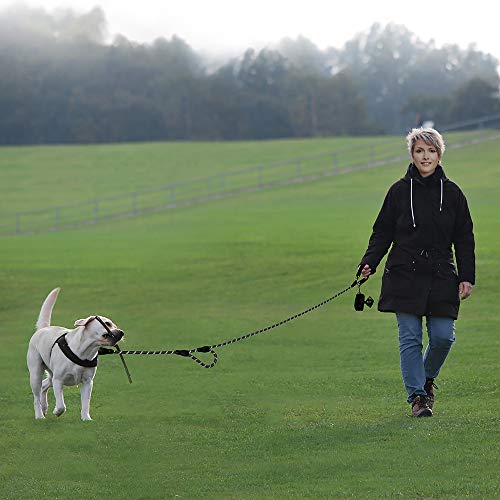 Comfortable padded handles on Plutus leash