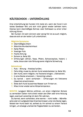 Erste Hilfe am Hund - Leben retten durch einfache Maßnahmen