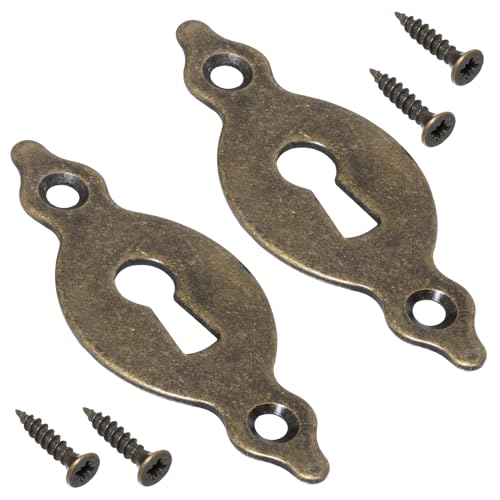 AERZETIX - C73730 - Paire de 2 rosettes plaques 67x27x1.5 mm pour serrure de porte à clé ordinaire - montage vérticale - cache trou de clé - en métal -...