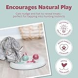 Trixie Cat Activity Flip Board, 1 Count (Pack of 1)