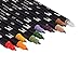 Tombow 56168 Dual Brush Pen Art Markers, Secondary, 10-Pack. Blendable, Brush and Fine Tip Markers