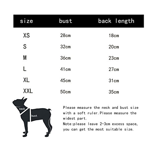 Jeans Giacca per cani Primavera Autunno vestiti