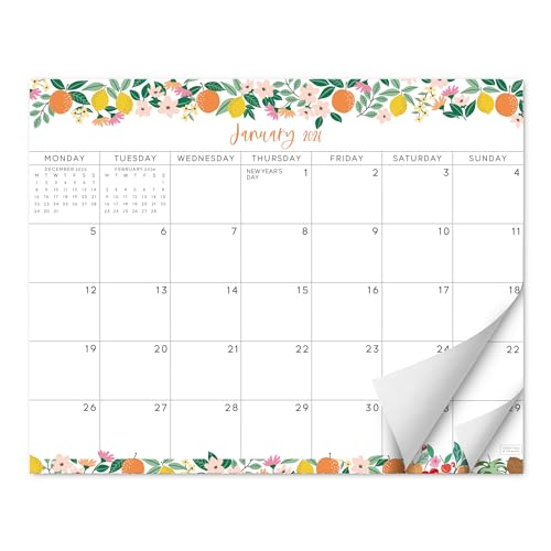 S&O Fruity Magnetic Fridge Calendar from January 2026-June 2027 - Tear-Off Refrigerator Calendar to Track Events & Appointments - 18 Month Magnetic Planner for Fridge for Easy Planning - 8x10 in.