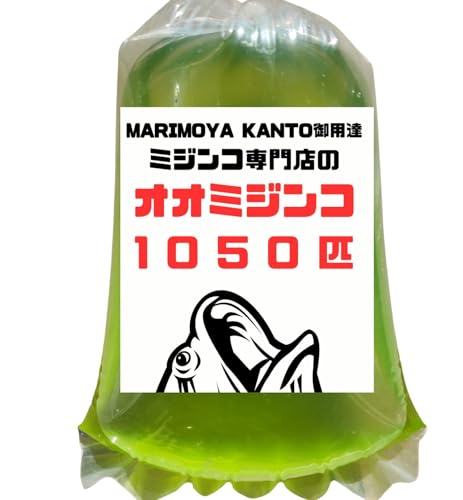[MARIMOYA KANTO] II~WR 1050C a ߂  N PSB (1050)
