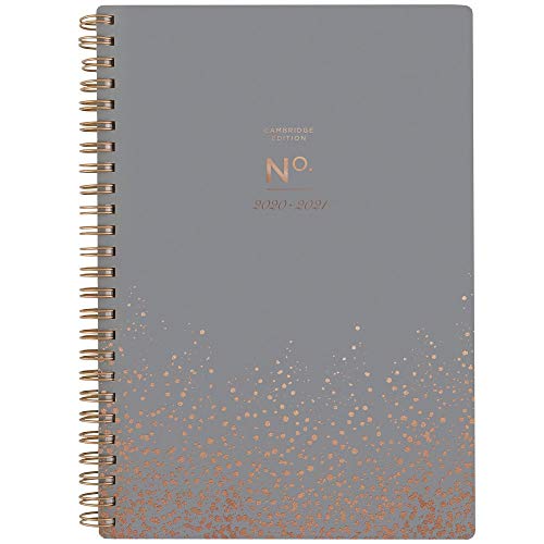 Télécharger Agenda scolaire 2020-2021, un aperçu hebdomadaire et mensuel Small Pois gris. Francais PDF