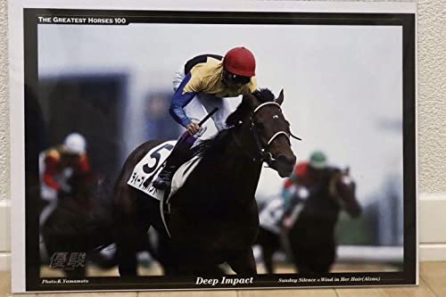 武豊　ディープインパクト　ポスター　非売品　競馬　額縁あり R0601 競馬ポスター 激レア JRA 武豊 ディープインパクト 一着