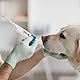 TFA Dostmann Digitales Veterinärthermometer VET, 15.2022, geeignet für Pferde/Rinder/Hunde/Katzen, wasserdicht, einfache Reinigung, Körpertemperatur von Tieren, weiß (Packung mit 2)