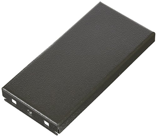 Schneider Electric NSYSPS4100SD Paneles laterales p/zócalo. 400x100 mm, Chapa acero plegable,...