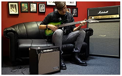 Rocktile GA-30 Mark amplificateur de guitare - Les Beatles, Paul McCartney, John Lennon, RIngo Starr, George Harrison Rocktile GA-30 Mark amplificateur de guitare – Image 8