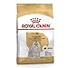 Royal Canin Hunde-Trockenfutter Adult Maltese für ausgewachsene Malteser, 24 % Proteingehalt, 1,5 kg