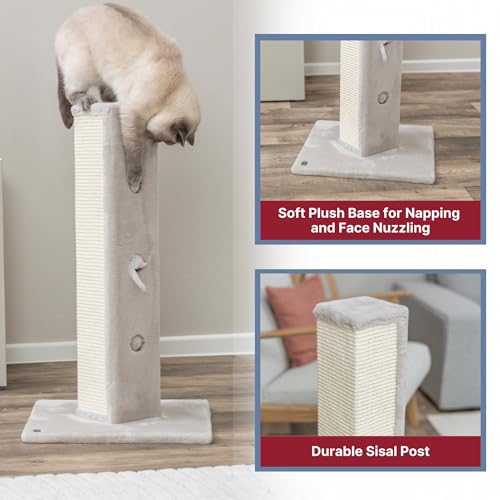 Griffoir pour chat avec jeu de cache-cache pour animer ses journées - 6