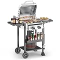 ?2-Burner Gas Grill, Stainless Steel 160,00 BTU BBQ Grill with Foldable Side Shelves & Storage Shelf – Ideal Propane Grill for Outdoor Barbecues, Patio Gatherings, and Camping