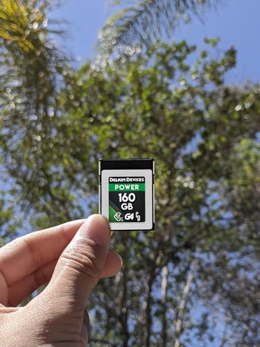 Delkin Devices Power CFexpress Type B 160 Go G4 carte robuste